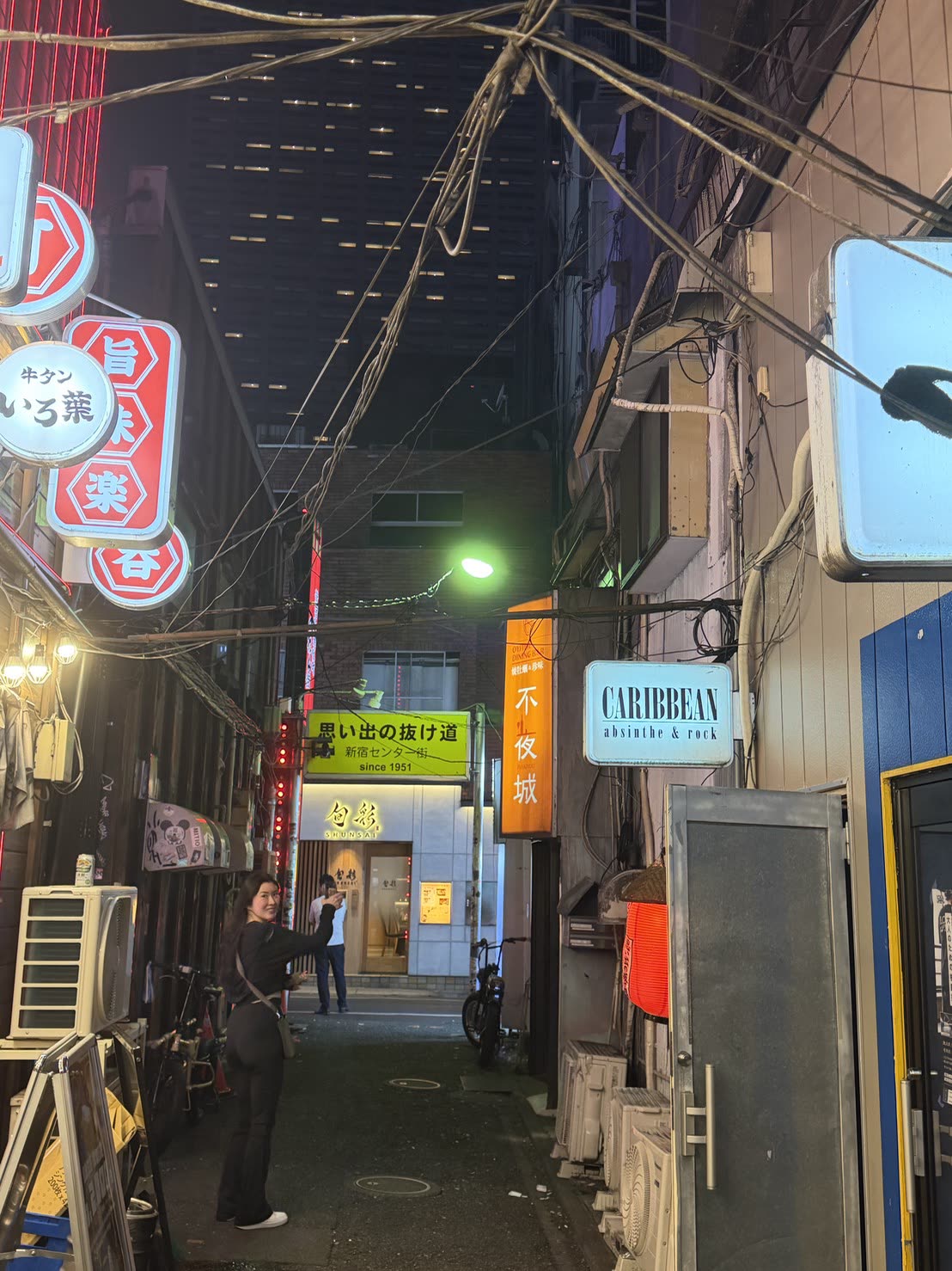 新宿 — 回忆的小巷